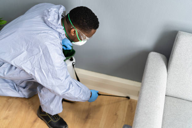 Real Estate Pest Inspections in Lebanon, IN